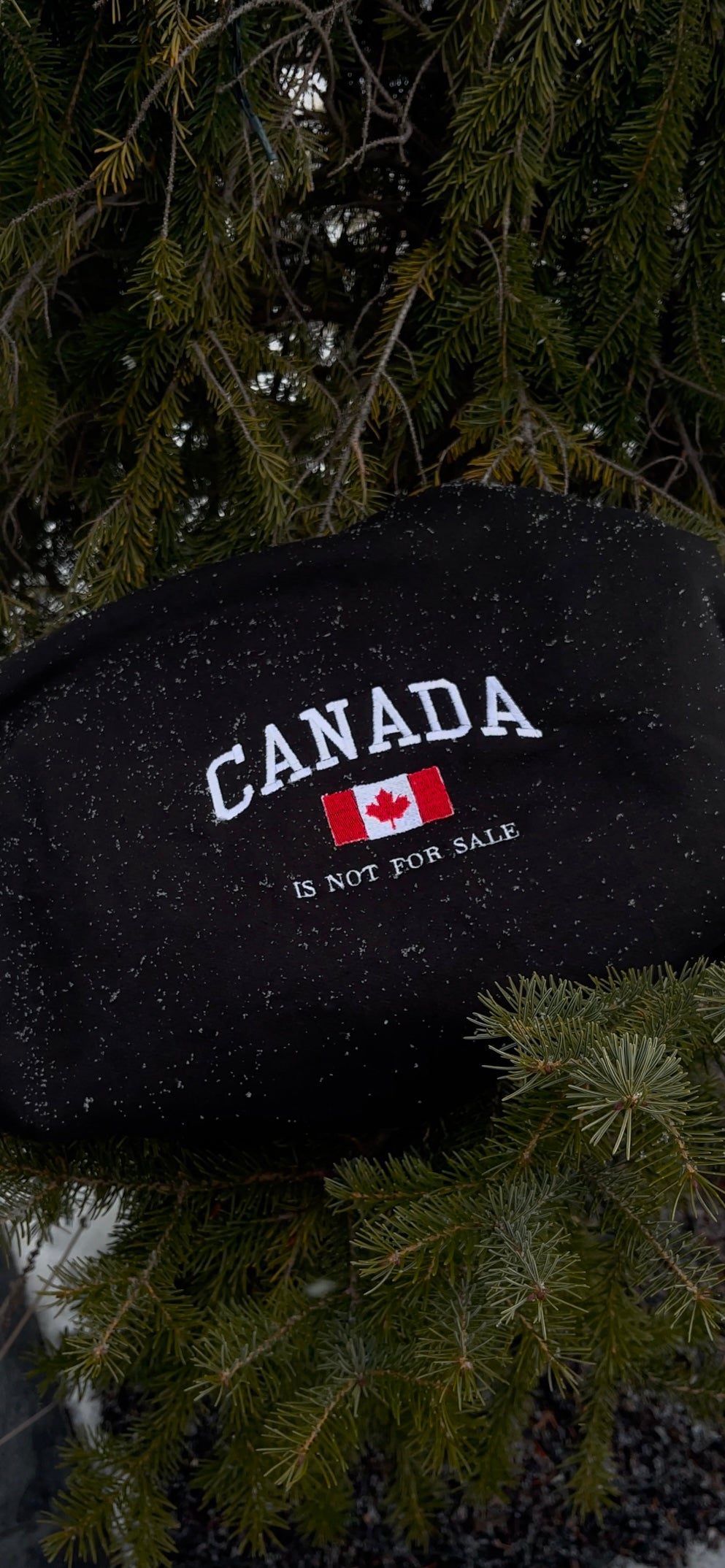 Canada Is Not For Sale- Embroidered Hoodie