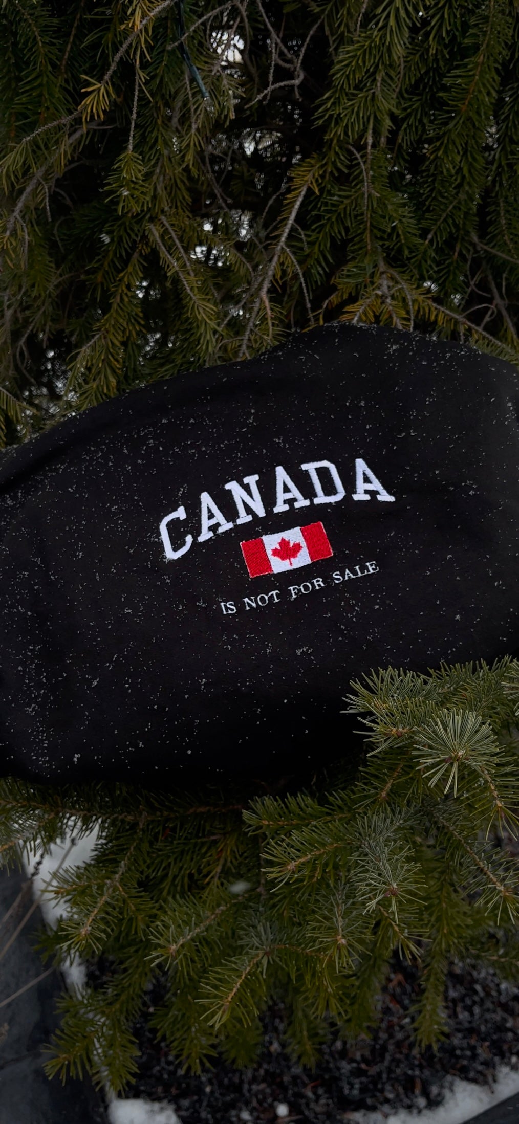 Canada Is Not For Sale- Embroidered Hoodie