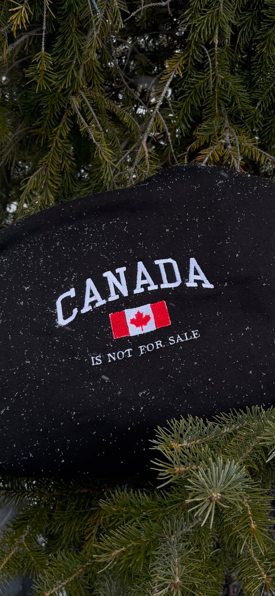 Canada Is Not For Sale- Embroidered Hoodie