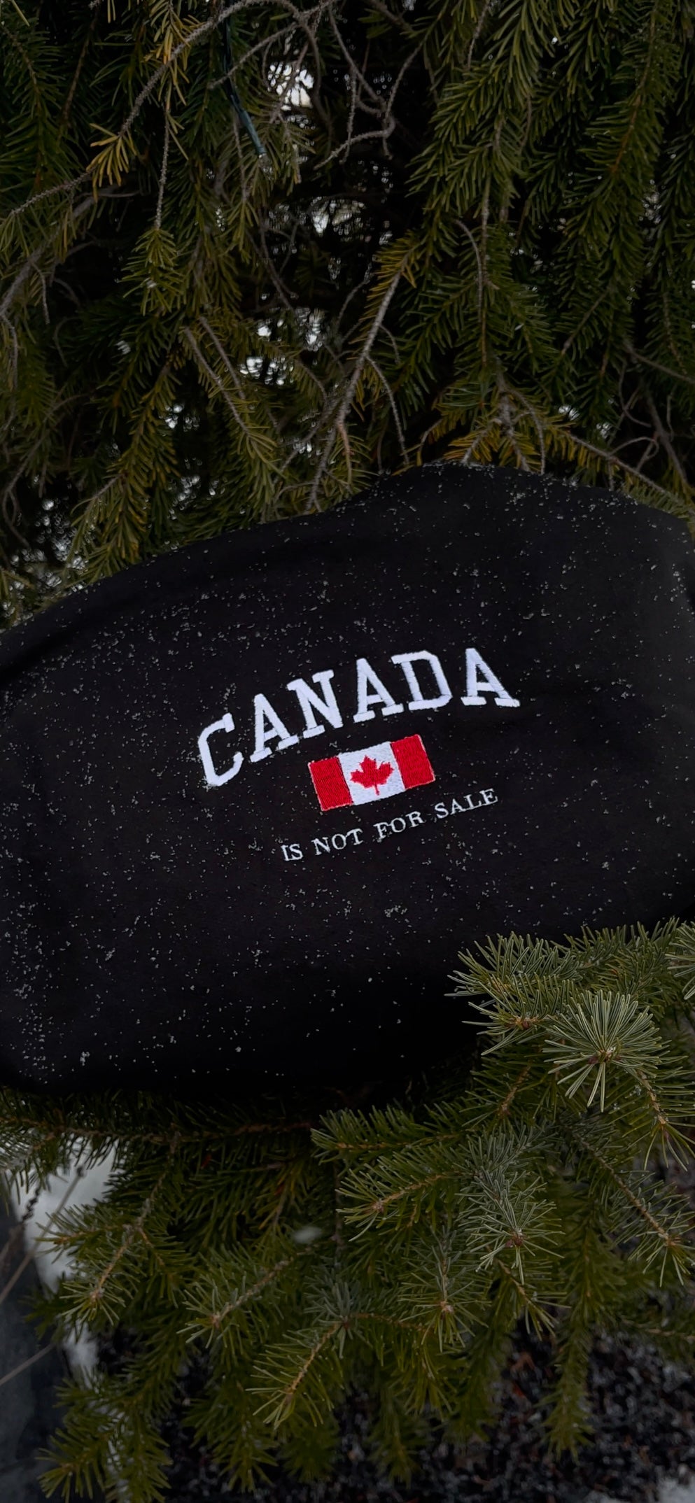 Canada Is Not For Sale-  Embroidered Hoodie